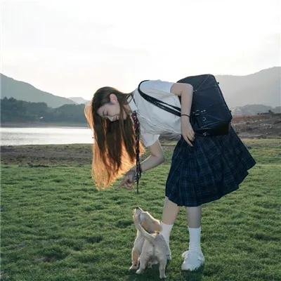 大小姐和看门犬