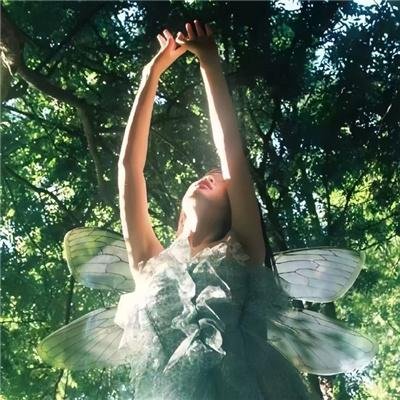 我有一扇奇迹双开门